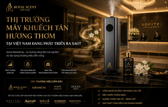 thị trường máy khuếch tán hương thơm tại Việt Nam